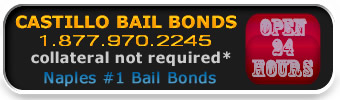 Naples Bail Bonds  Call Now! 239.775.4688