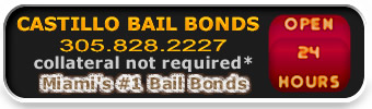 Miami Bail Bonds  Call Now! 305.828.2227